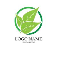 naturale verde foglia logo. con un illustrazione logo design nel un' moderno stile. un' logo per Salute e cura. vettore