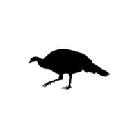 tacchino silhouette per arte illustrazione, pittogramma o grafico design elemento. il tacchino è un' grande uccello nel il genere meleagris. vettore illustrazione