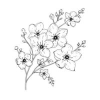 fiori di sakura sbocciano, stile inchiostro linea disegnata a mano. carino doodle cherry illustrazione vettoriale, nero isolato su sfondo bianco. vettore