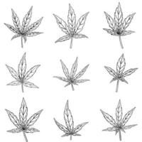 semplicità foglia di cannabis disegno a mano libera collezione di design piatto. vettore