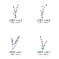 lavanda logo modello simbolo vettore natura