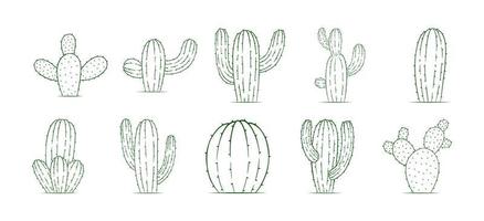 collezione di cactus pianta vettore disegni