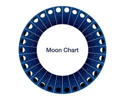 Luna fasi cerchio, calendario astronomia vettore grafico, lunare ruota blu stellato rappresentazione isolato su bianca sfondo