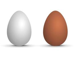Due vettore realistico uova.
