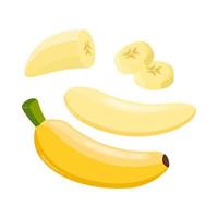 collezione di fresco Banana frutta disegni vettore