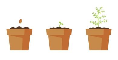 processi di in crescita poco casa albero. giardinaggio, piantare concetto. vettore illustrazione nel piatto stile