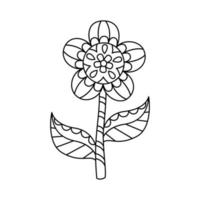 contorno ornato fiore semplice stile vettore illustrazione. lineare geometrico girasole isolato su bianca