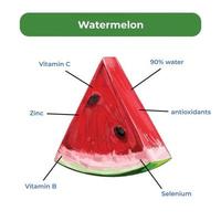 anguria benefici vettore illustrazione isolato su piazza bianca modello. piatto artsy disegno per educativo scopi.