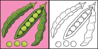 verde fagiolo frutta colorazione pagina illustrazione vettore