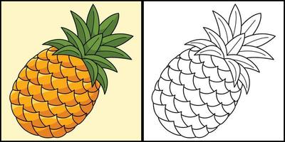 ananas frutta colorazione pagina colorato illustrazione vettore