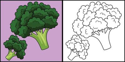 broccoli verdura colorazione pagina illustrazione vettore