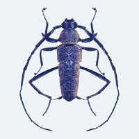 barbiglio scarafaggio nel viola colori. realistico illustrazione isolato su bianca sfondo. vettore