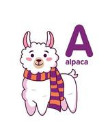 carino alpaca nel un' sciarpa. carino animale. vettore illustrazione alfabeto
