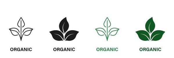 biologico Prodotto verde e nero icona impostare. naturale bio salutare eco cibo linea e silhouette logo. bio biologico Prodotto, foglia segni. vegano eco cibo etichetta. isolato vettore illustrazione.