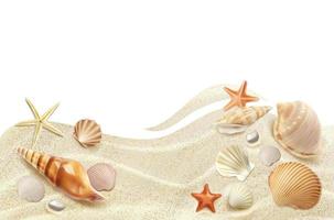 realistico spiaggia mare superiore Visualizza con conchiglie vettore