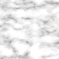 pietra bianca con sfondo di marmo nero - vettore
