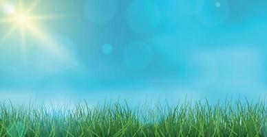 paesaggio erba verde su uno sfondo di cielo blu bokeh - vettore