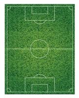 campo da calcio classico realistico con rivestimento verde bicolore vettore