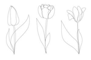 impostato bellissimo fioritura tulipano fiore nel continuo linea arte disegno stile. minimalista nero lineare schizzo isolato su bianca sfondo. vettore illustrazione