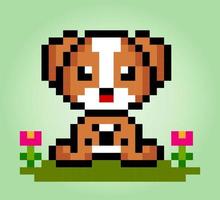 8 bit pixel di Jack russell cani è seduta. animali per risorsa Giochi nel vettore illustrazioni. attraversare punto modello.