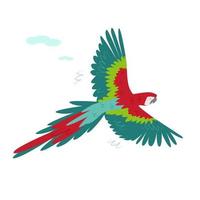 rosso pappagallo tropicale battenti vettore
