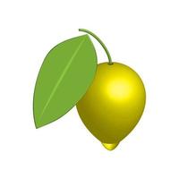 illustrazione grafica vettoriale di limone