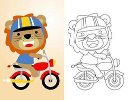 colorazione libro o pagina con carino Leone cartone animato indossare casco equitazione motociclo vettore