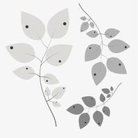delicato e sofisticato illustrazione di un' pianta ramo con le foglie vettore