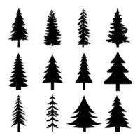 12 professionale pino alberi silhouette impostato 4 vettore