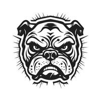 arrabbiato bulldog, logo concetto nero e bianca colore, mano disegnato illustrazione vettore