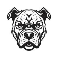 arrabbiato pitbull, logo concetto nero e bianca colore, mano disegnato illustrazione vettore