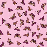 farfalla seamless pattern vettore