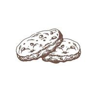 un' disegnato a mano schizzo di fatti in casa biscotti con cioccolato patatine fritte. Vintage ▾ illustrazione, scarabocchio. elemento per il design di etichette, confezione e cartoline. vettore