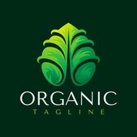 moderno pendenza foglia pianta logo design. colorato verde natura biologico logo marca. vettore