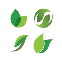 logo foglia verde vettore