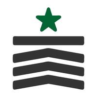 distintivo icona solido grigio verde colore militare simbolo Perfetto. vettore