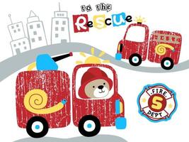 camion dei pompieri cartone animato con divertente orso nel città strada vettore