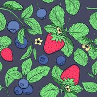 fragole e mirtilli senza soluzione di continuità modello su buio sfondo. mano disegnato modello. frutta illustrazione. vettore