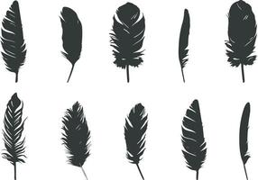 piuma silhouette, piuma di uccelli silhouette, piuma vettore icona