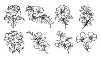 impostato collezione di mano disegnato botanico floreale vettore