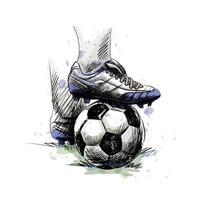 piedi del calciatore battistrada sul pallone da calcio per il calcio d'inizio su uno sfondo bianco vettore