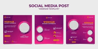 modelli di webinar per post di storie sui social media vettore