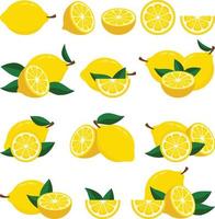fresco Limone impostato illustrazioni. un' impostato di limoni con verde le foglie su loro vettore