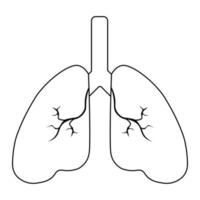 icona umana del polmone, sistema respiratorio sano anatomia dei polmoni piatto icona dell'organo medico vettore