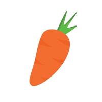 carota fresco vettore illustrazione piatto design