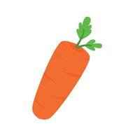 carota fresco vettore illustrazione piatto design