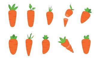 impostato di carota illustrazione con piatto design carino illustrazione, fetta carota e tutti tipi di carote vettore