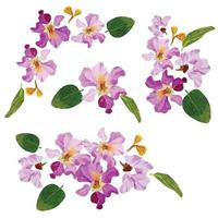 acquerello viola regine fiore mazzo ghirlanda telaio vettore