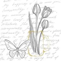tulipano fiore grafico schizzo illustrazione. botanico pianta illustrazione. Vintage ▾ medicinale erbe aromatiche schizzo impostato di inchiostro mano disegnato medico erbe aromatiche e impianti schizzo vettore