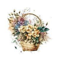 acquerello fiori clipart vettore, Pasqua cestino png, primavera floreale clip arte, Pasqua sublimazione png, acquerello fiore vettore